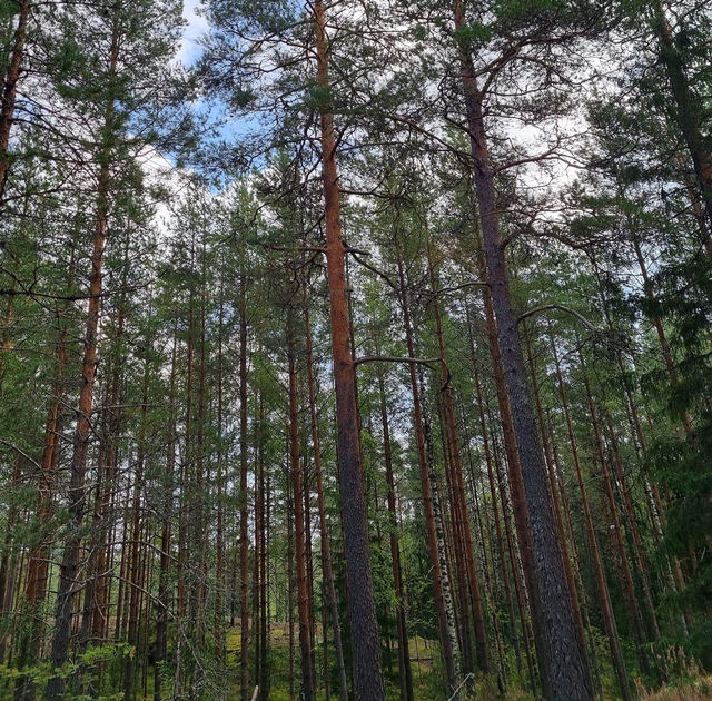 Hiking in Nuuksio National Park