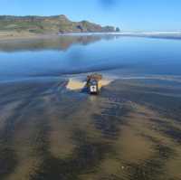 Auckland’s West Coast Beaches: Piha and Muriwai