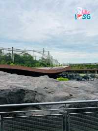 🇸🇬 No need to pay for entry tickets at Bird Paradise 