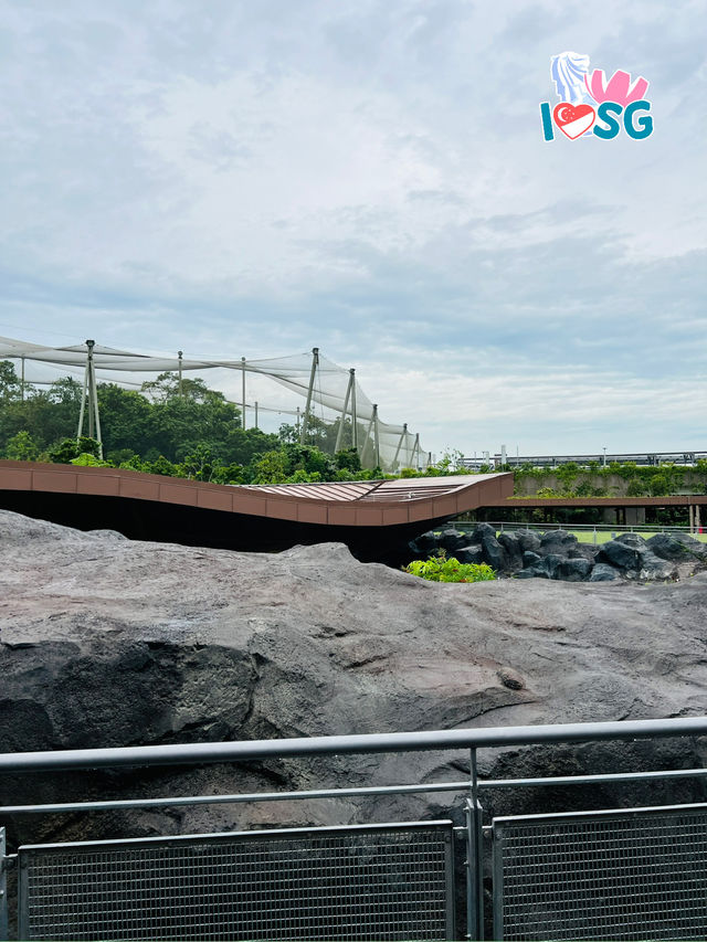 🇸🇬 No need to pay for entry tickets at Bird Paradise 