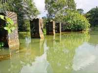 Discover MacRitchie Reservoir: Singapore’s Secret Nature Gem