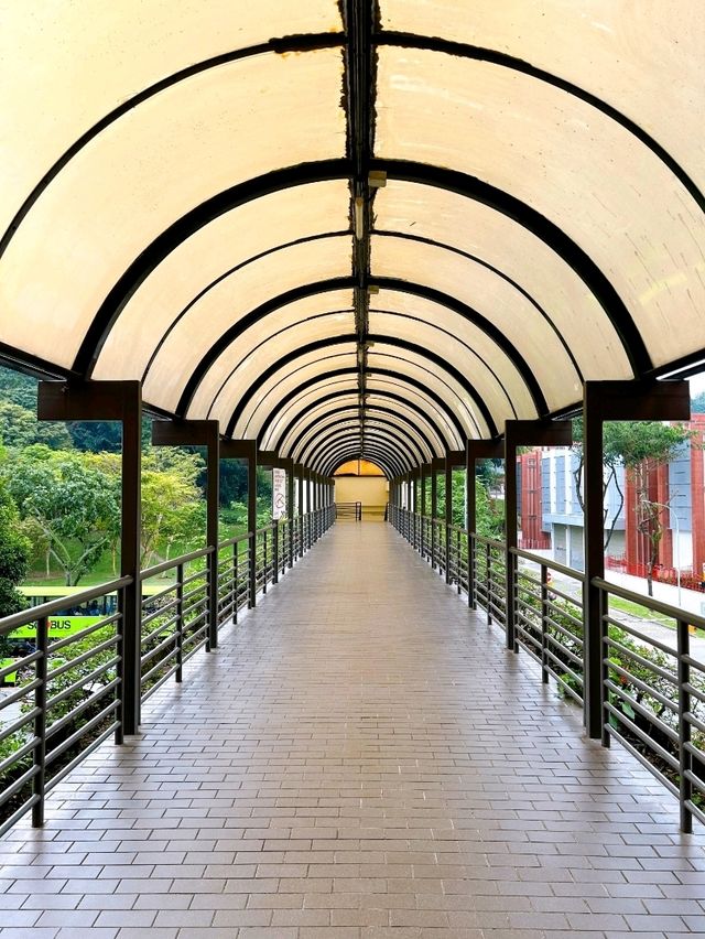 European Architectural Influence in City Hall Singapore