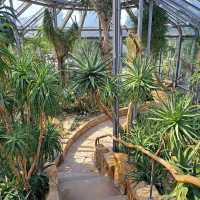 ～牛津大學哈考特植物園～增長植物知識好去處～