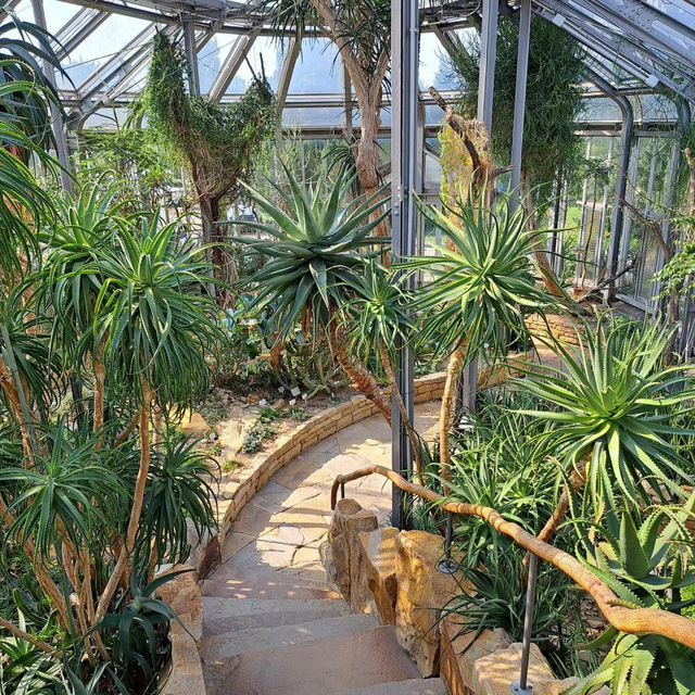 ～牛津大學哈考特植物園～增長植物知識好去處～