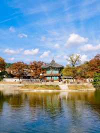 ใบไม้เปลี่ยนสีที่ Gyeongbokgung Palace 