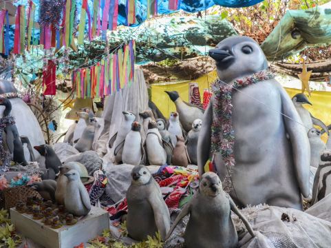 Shizuoka Prefecture] Izu's strange spot 