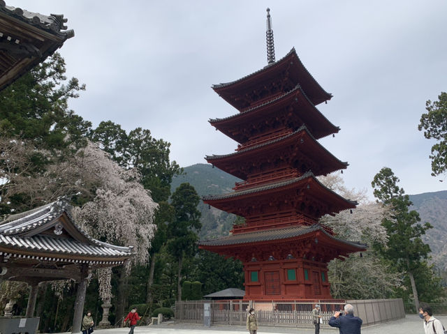 身延山　久遠寺