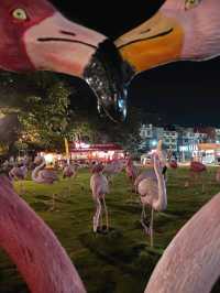นั่งชิวร้าน Pink Flamingo 