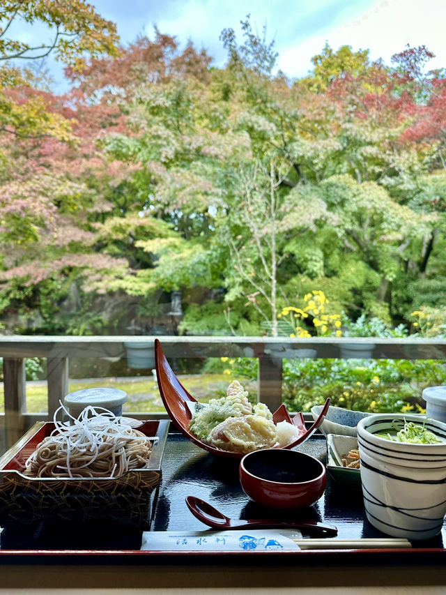 世界遺産姫路城を望む日本庭園✨紅葉を眺めながら食事！