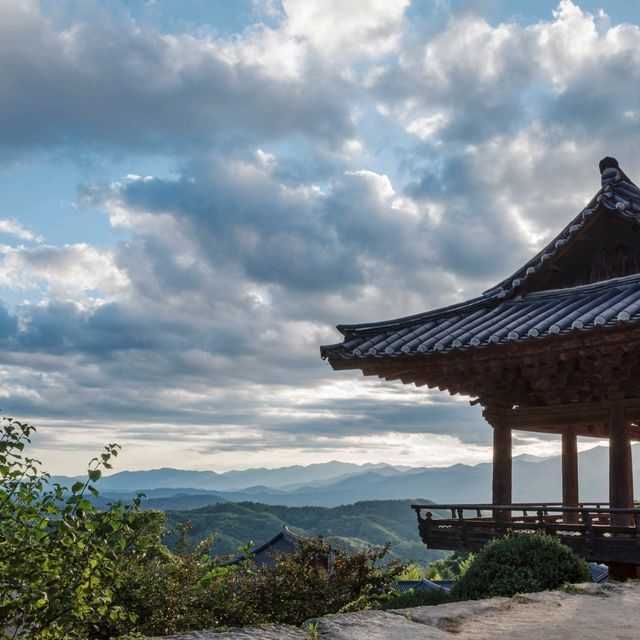 가을하늘에 더 돋보이는