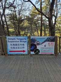 Songdo Yonggung Suspension Bridge 🌁