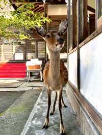 【宮城県】4年連続参拝でご利益あり