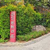 尋找🔍北投溫泉♨️源頭之旅