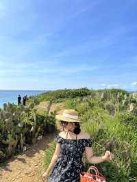 Wild beauty in Bai Xep, Phu Yen
