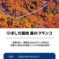 【保存必須!!】2024 大阪の紅葉スポット