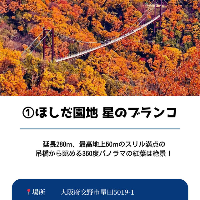 【保存必須!!】2024 大阪の紅葉スポット