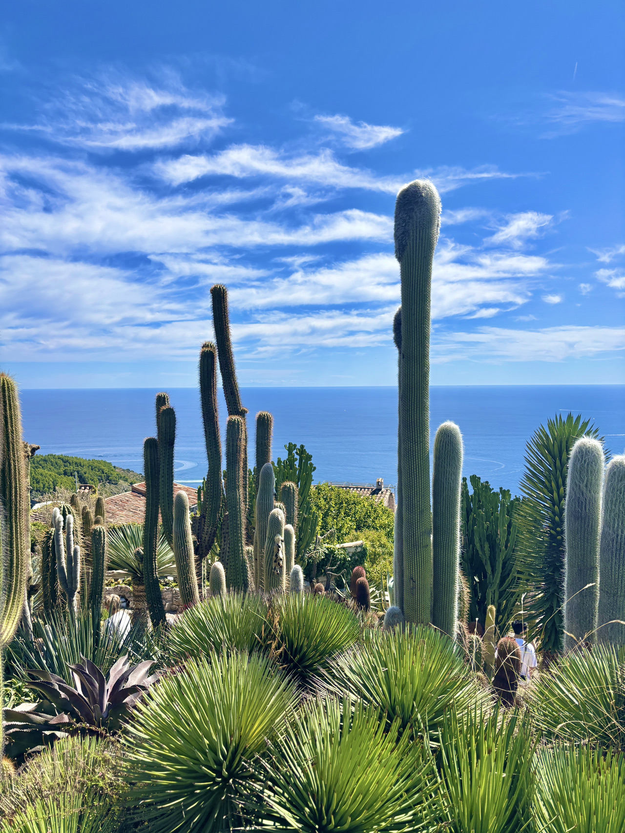 2026 Eze Attraction] The Exotic Garden of Eze Travel Guide & Travel  Experiences | Updated Jun | Trip Moments