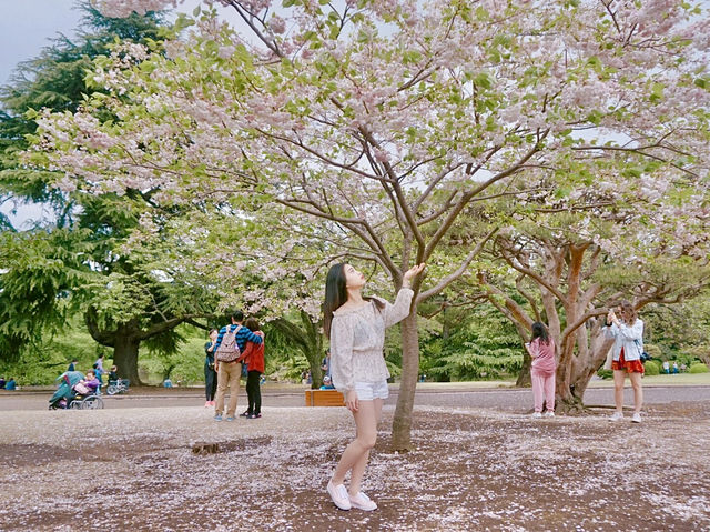 도쿄 도심에 위치한 신주쿠공원