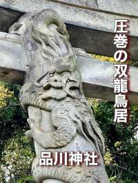 【東京都】圧巻の双龍鳥居