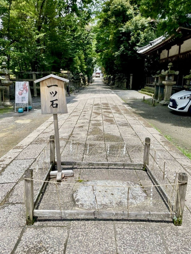 【京都府】青空に映える朱塗りの社殿