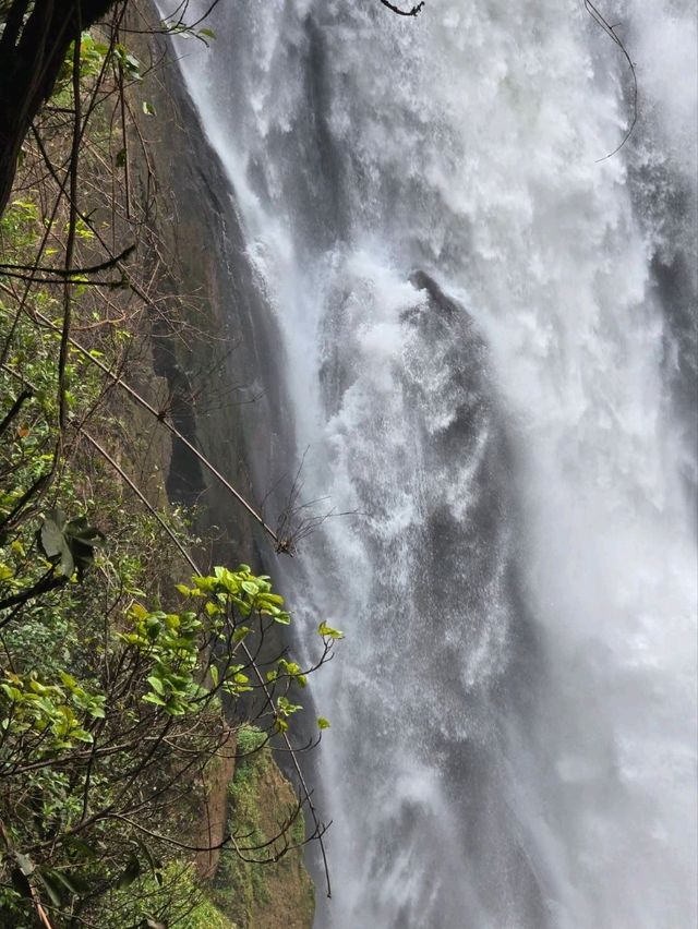 อุทยานแห่งชาติเขาใหญ่