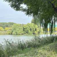 大邱東橫inn兩日遊