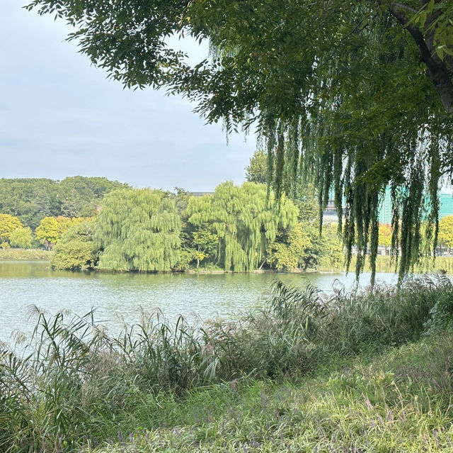 大邱東橫inn兩日遊
