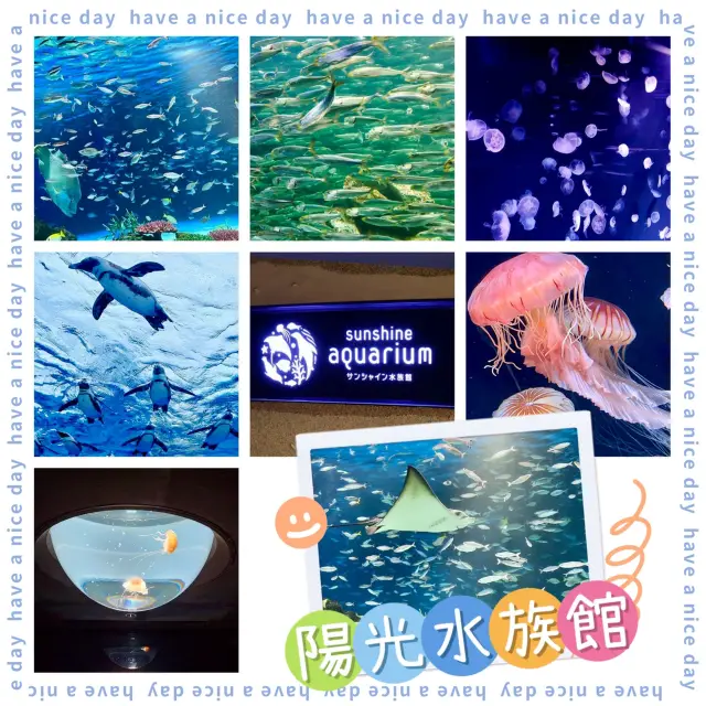 池袋陽光水族館-繁華鬧市區內的水族館,與企鵝在空中邂逅