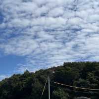 千葉県野田市【コウノトリの里】