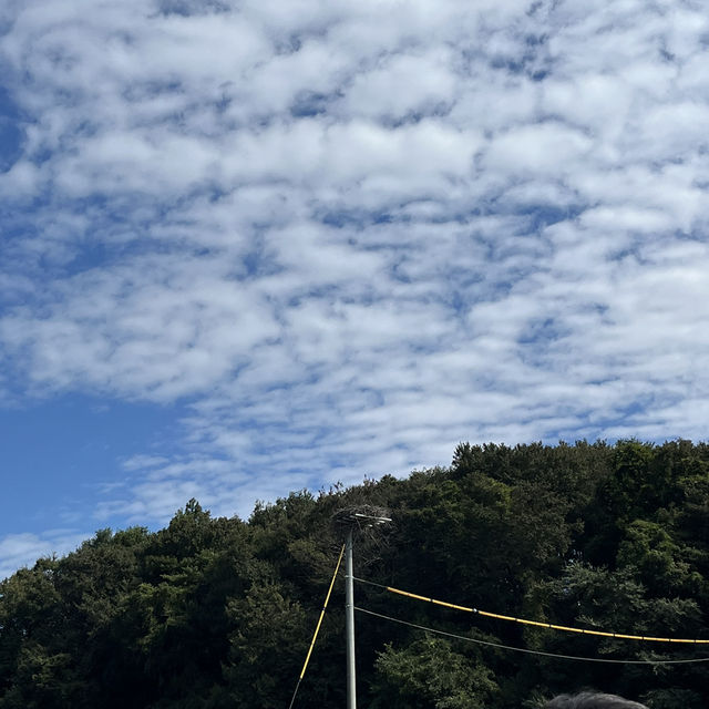 千葉県野田市【コウノトリの里】