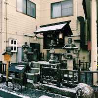 遊走在人文氣息裡，踏著雪白的路
