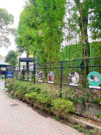 สวนสัตว์เปิดในสวนสาธารณะที่โตเกียว เจ๋งมาก! 🦭🦊