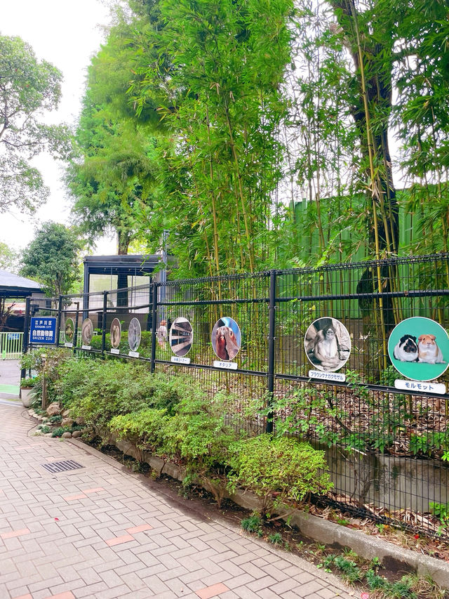 สวนสัตว์เปิดในสวนสาธารณะที่โตเกียว เจ๋งมาก! 🦭🦊