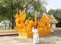 ทุ่งศรีเมือง