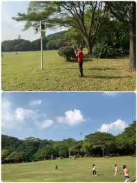 "深圳蓮花山風箏廣場：野餐放風箏的天堂" 🪁🌳🧺