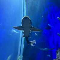 2泊3日大分旅行 おすすめスポット✨