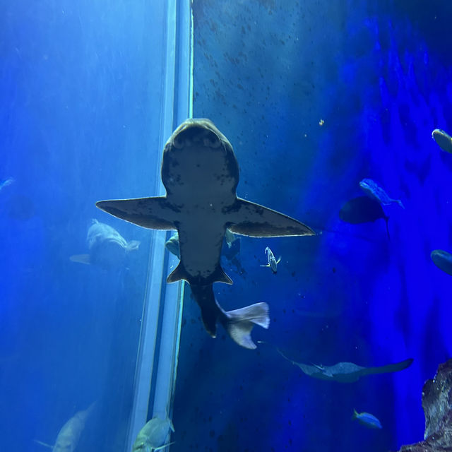2泊3日大分旅行 おすすめスポット✨