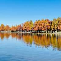 【東京】広大な公園