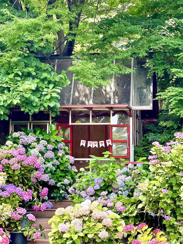 초록뷰에 수국까지 있는 서울근교 사진맛집🌿
