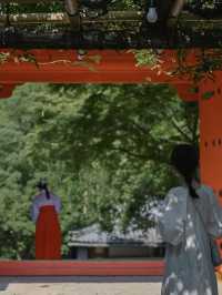 【奈良の世界遺産】春日大社⛩️
