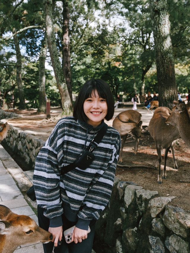 與小鹿親密接觸！奈良公園輕鬆遊記