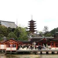 廣島景點｜世界遺產-日本三景-海上大鳥居—宮島一日遊