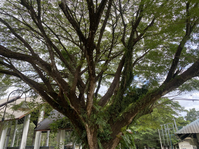 ตรังอควาเรียม สถานที่สถานแวะเช็คอิน!