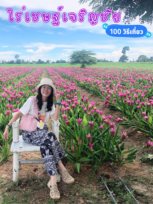 🌻 ไร่เชษฐ์เจริญชัย 