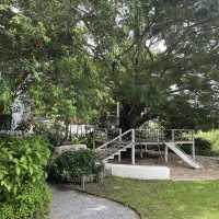 นิทานคาเฟ่ ปทุมธานี: โลกแห่งนิทานที่เป็นจริง