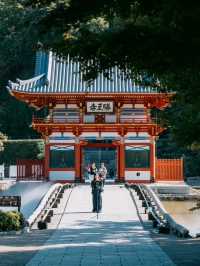 景點推薦：勝尾寺——觀景與祈福兼得的靜謐之地 