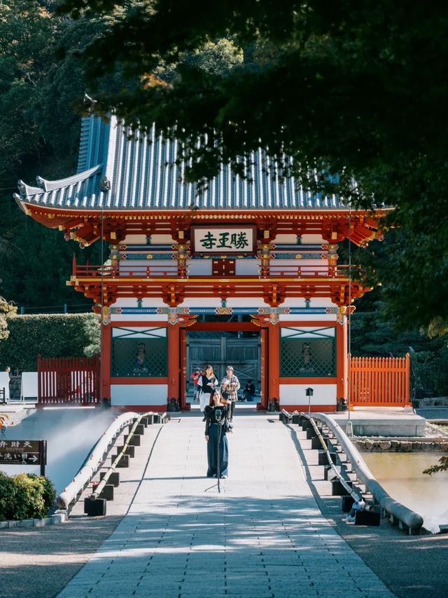 景點推薦：勝尾寺——觀景與祈福兼得的靜謐之地 