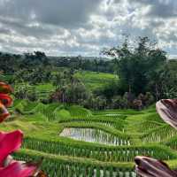 Jatiluwih Rice Terraces: A UNESCO World Heritage Gem