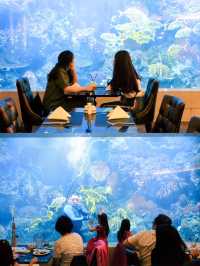 Copper บุฟเฟ่ต์ซีฟู้ดในอควาเรี่ยมส่วนตัว🐟🐠