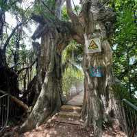 Sentosa Island: Singapore’s Ultimate Leisure Destination
